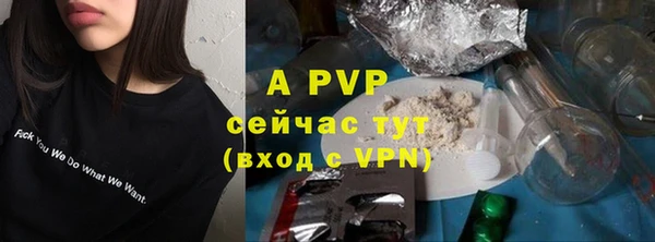 прущие крисы Вяземский