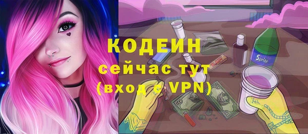 прущие крисы Вяземский